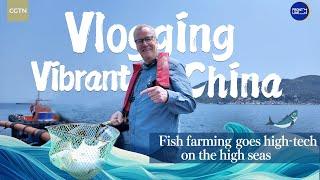 High tech comes to high seas: China leads world in ocean fish farming