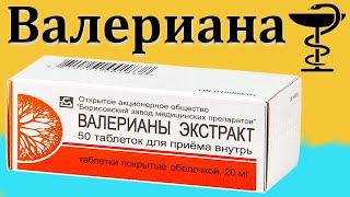 Валериана - в таблетках | Инструкция по применению | Для чего пить экстракт?