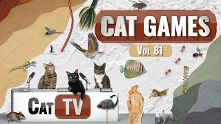 CAT Games | Ultimate Cat TV Compilation Vol 81 | 4 HOURS  