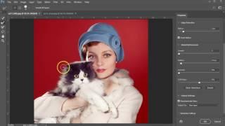 Quick Selection tool exercise for Adobe Photoshop 2017