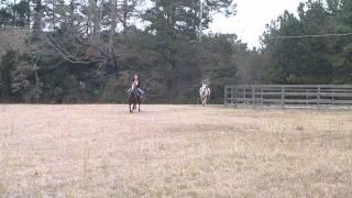 Friends running on horses