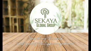 Sekaya Global Group