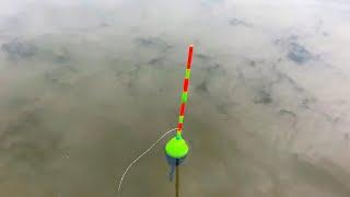 FLOAT FROM THE CORK with your own hands (fishing for Carp)