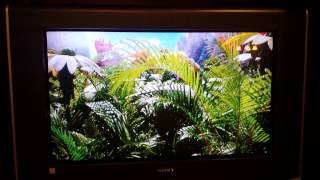 Sony WEGA 34 inch HDTV, Flat Screen,  Tube TV