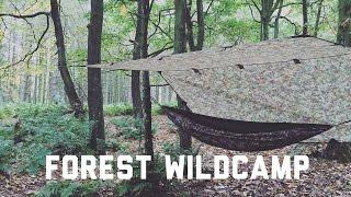 Forest Wildcamping - Autumn