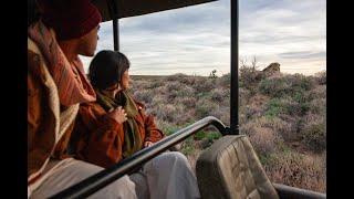 Things to do at Inverdoorn Private Game Reserve - Luxury Big 5 Safari Lodge near Cape Town