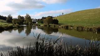 LOWER HOLLACOMBE FISHERY, CREDITON, DEVON