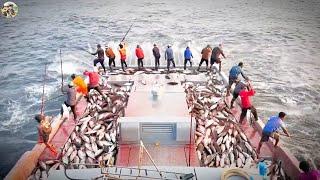 Traditional Fishing at Sea, Best Fishing Moments 2024 | Leo Farm