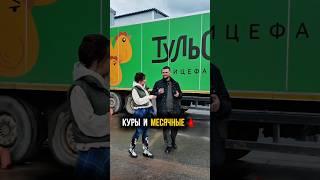 Куры и петухи, отношения и продолжение рода #биология #птицеводство #сельскоехозяйство #яйца #яйцо
