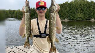 Pike Fishing The Grand River (Crazy!)