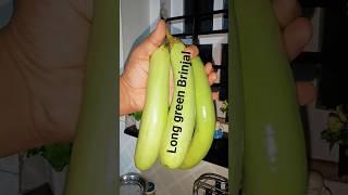 Long Green Brinjal/ Eggplant recipe #food #brijal #baigan #eggplant #shortvideo