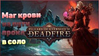 Pillars of Eternity II: Deadfire (Соло + Путь проклятых) - маг месяков #1