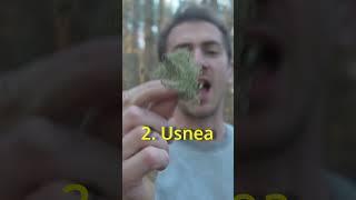 3 Survival Band-Aids in the Woods!