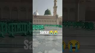The Timeless Beauty of the Green Dome: A Sight You'll Never Forget
