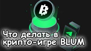 КАК ПРАВИЛЬНО ИГРАТЬ В BLUM - в Блум в Телеграмме !? - The Money Dog