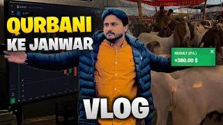 Qurbani ke janwar la lya | eid ki tayari vlog | eid ka bakra eid mubarak | live trade | #Acterph