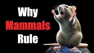 Why Mammals Rule the World