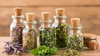 "Essential Herbal Remedies: Top 10 Must-Have Herbs for Your Home Remedy Cabinet"