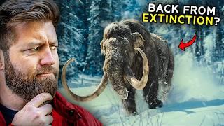 Why I Believe the Mammoth is Coming Back from Extinction