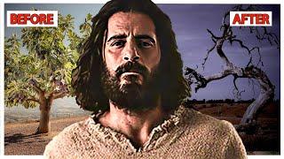 Why You Should Be CONCERNED that Jesus Killed a Tree