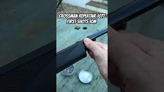 @crossman repeatair 1077 .177 co2 rifle first shots at 10m