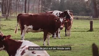 Bioland-Milch "Eure Fragen. Unsere Antworten." Best of 2017 (mit Untertiteln)