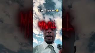 Maxwell is kingvon of the cats #maxwell #edit #realtable #vsp #mrproly #ae #catsoftiktok #fyp #viral