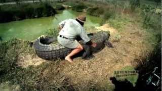 Catching Crocodiles with Rob Bredl aka Barefoot Bushman - Adventure Productions