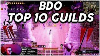 TOP 10 GUILDS - Daily BDO Community Clips