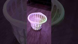 Laundry Basket Dance Moves 