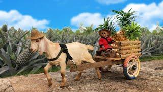 Monkey Bon hides from his father to harvest pineapples with goat