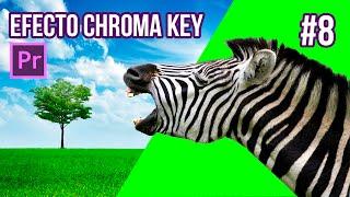 EFECTO CHROMA KEY ADOBE PREMIERE CC | Koradi Productions