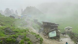 This is Himalayan Life | Best Compilation Video in Rainy Time | Nepal|Ep- 317  |VillageLifeNepal