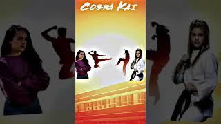 Cobra Kai Vs Kickin’ It