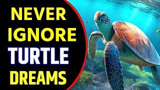 What does Turtle Dream Meaning | Dreaming of Turtle | Turtle Dream Interpretation Spiritual Meaning