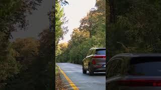 Autumn with Skywell ET5…