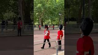 #london #lifeguards #royalguards #kingsguard #troopingthecolour #army #soldier #britishsoldier #uk