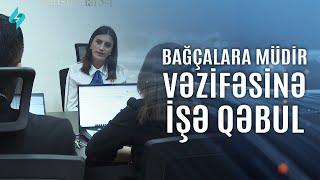 Bağçalara müdir vəzifəsinə işə qəbul |  Kanal S Xəbər