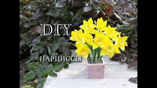 Нарциссы из фоамирана/DIY/Anna Shusta