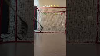 Zorro-Innebandy