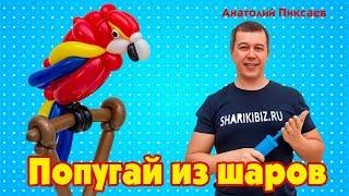 Попугай из шаров