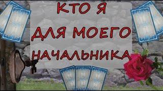 Как ко мне относится начальник? Кто я для моего начальника?