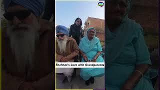 Shahnaz's Love with Grandparents | Punjabi Grooves