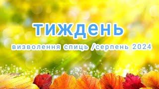 Щось не дуже визволялося... Дві посилочки та подарунки #тиждень_визволення_спиць_серпень_2024