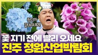 희귀하고 예쁜 꽃 가득한 진주 정원산업박람회  날 더워지기 전에 서둘러 오이소 [6시 내고향] | KBS 250617 방송