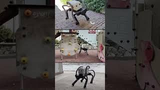 This robot dog has a job