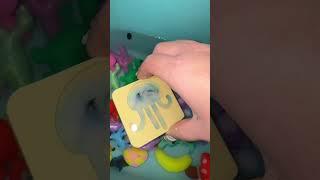 Make a squishy with me!