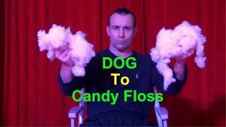 Dog to candy floss / I make it you watch it 4