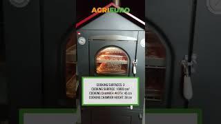 Make pizza with the AgriEuro Medius 80 EXT Outdoor Steel Wood-fired Oven  #shorts