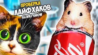 3 ЛАЙФХАКА от SLIVKISHOW - Ловушка для СТЁПЫ